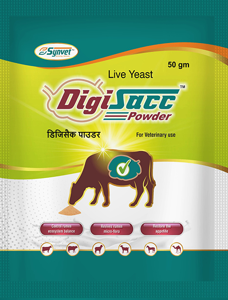 Digestive Harmony with Digisacc by Synvet Healthcare Pvt. Ltd.